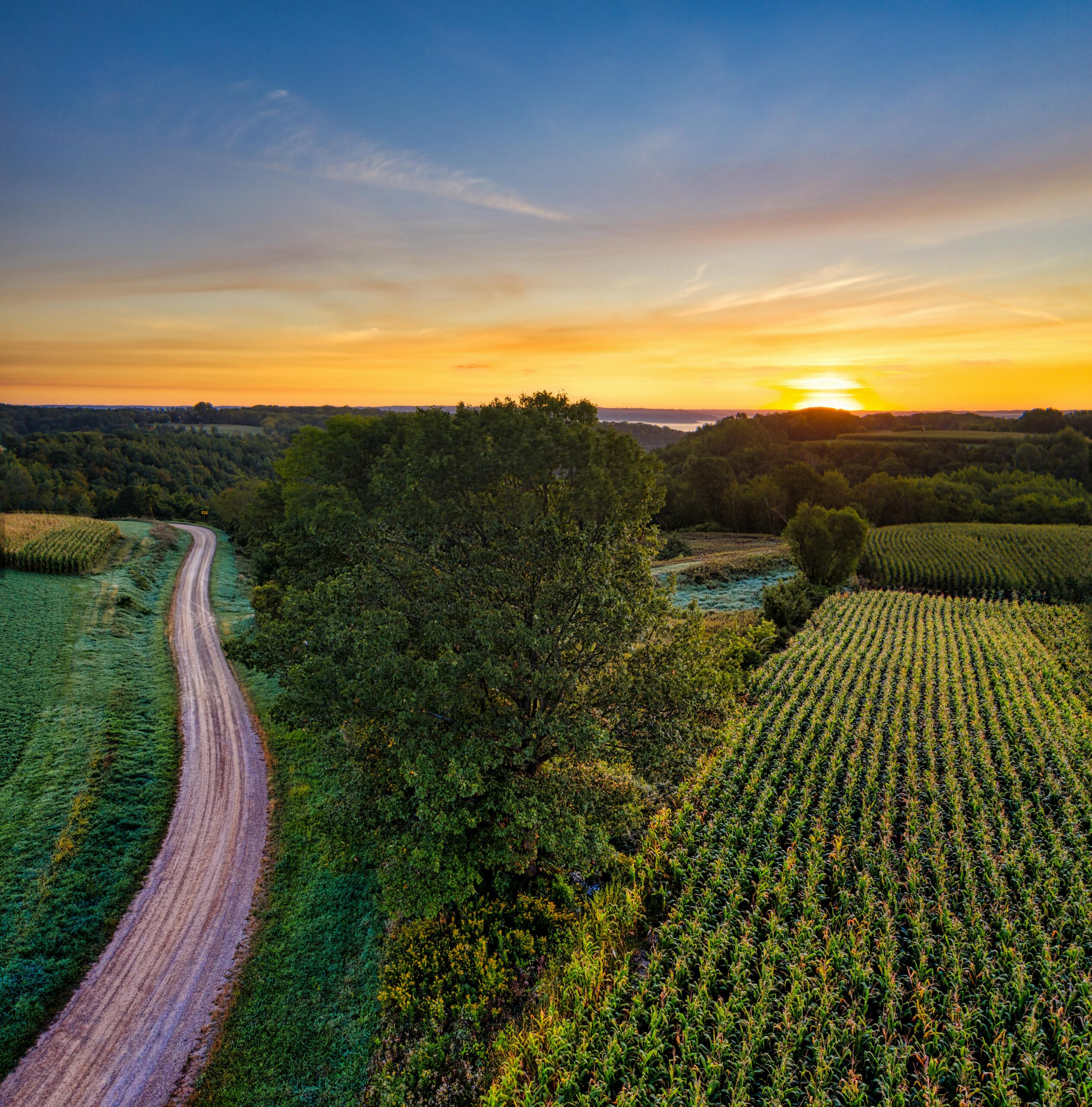 pexels-tomfisk-10495717